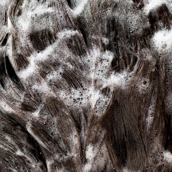 Signature Shampoo - Image 4